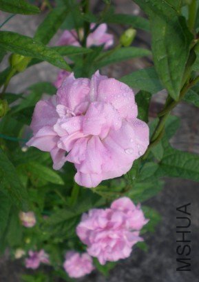 BTYE3XPDUF84[%`3_)F]}7C.jpg