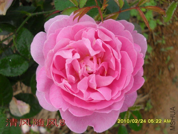 ����õ��11 (1).jpg