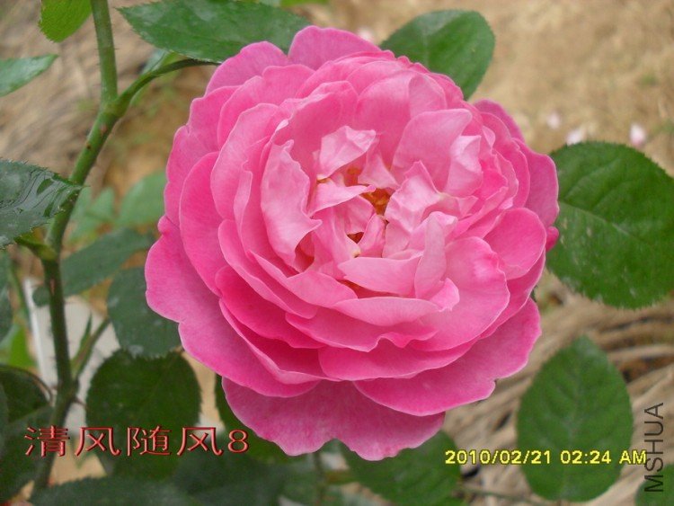 ����õ��11 (7).jpg