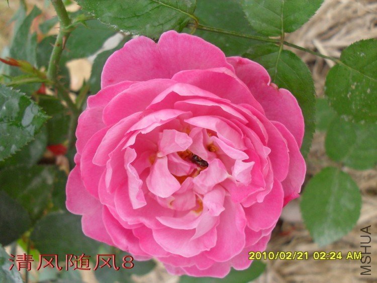 ����õ��11 (6).jpg