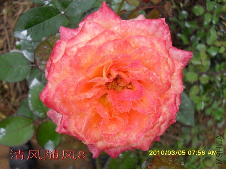 ��������11 (6).jpg