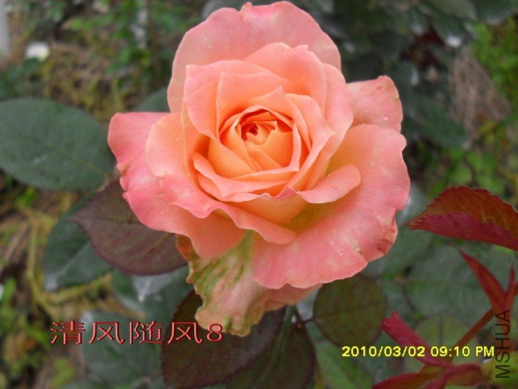 ��������11 (1).jpg