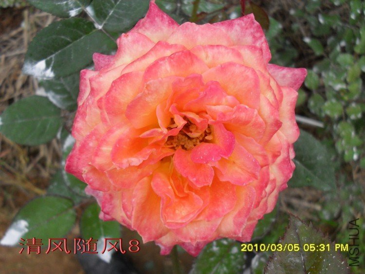 ��������11 (8).jpg