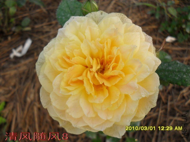 Ħ����11 (6).jpg