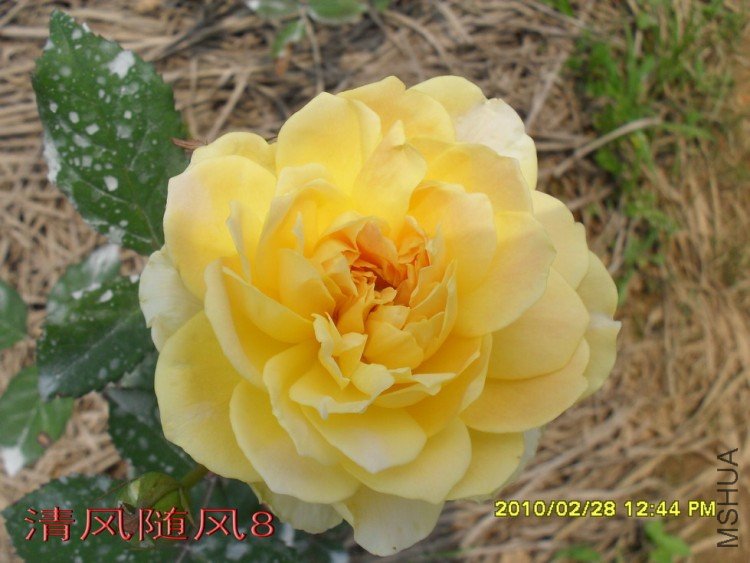 Ħ����11 (4).jpg