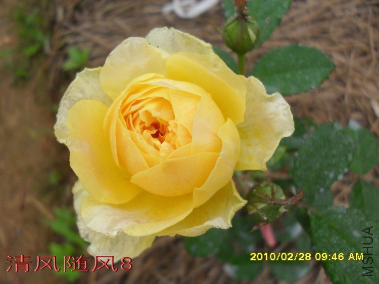 Ħ����11 (2).jpg