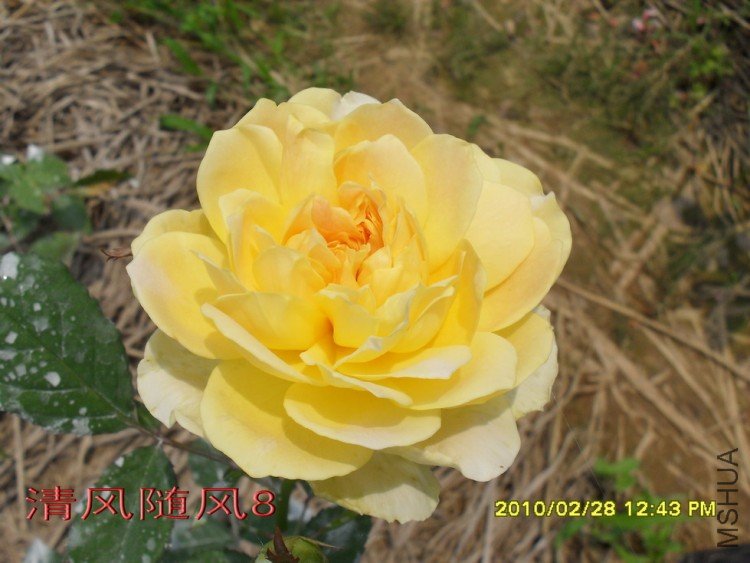 Ħ����11 (3).jpg