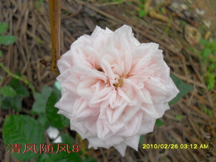 Ī��÷���ļ���11 (2).jpg