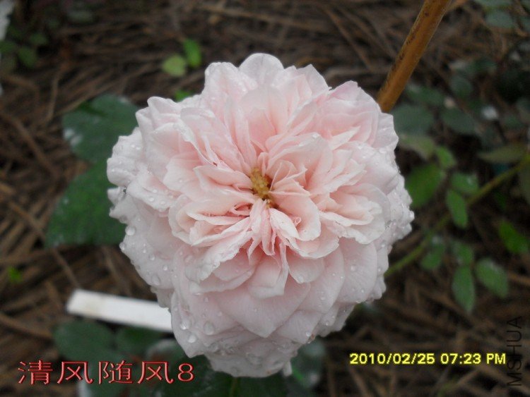 Ī��÷���ļ���11 (1).jpg