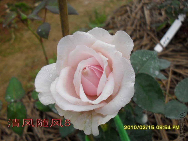 Ī��÷���ļ���11 (3).jpg