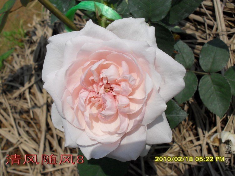 Ī��÷���ļ���11 (7).jpg