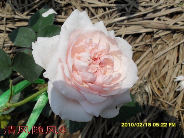 Ī��÷���ļ���11 (6).jpg