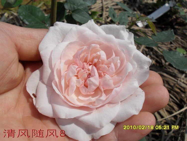 Ī��÷���ļ���11 (4).jpg