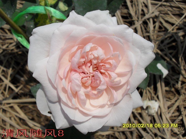 Ī��÷���ļ���11 (8).jpg