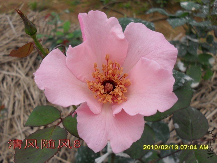 ������˿11 (1).jpg