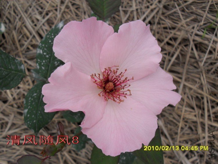 ������˿11 (7).jpg