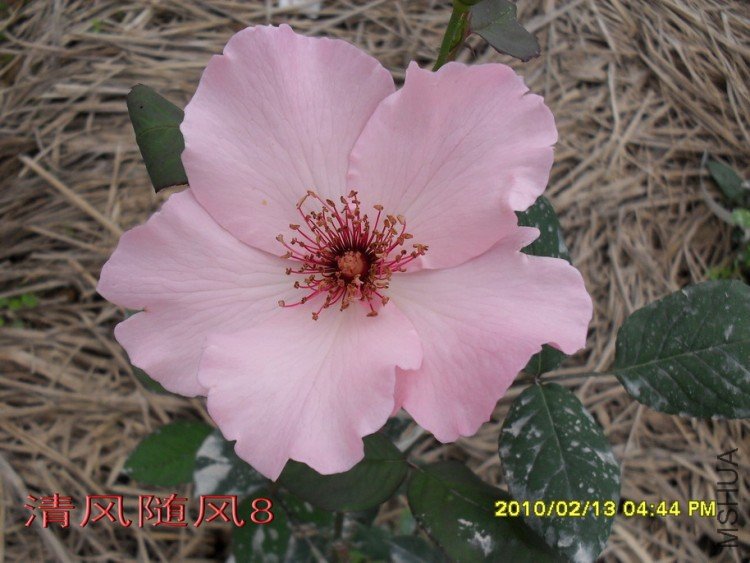 ������˿11 (4).jpg