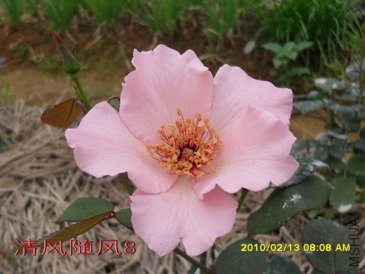 ������˿11 (2).jpg