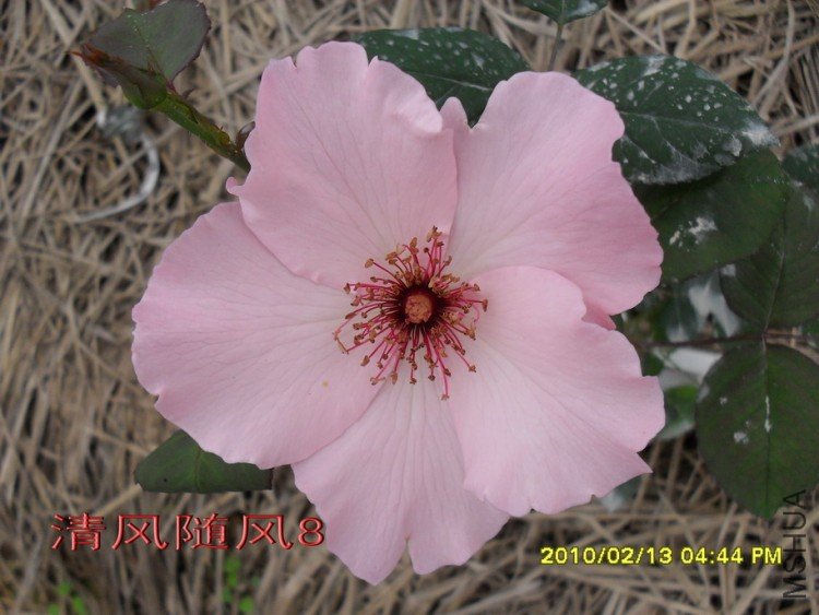 ������˿11 (5).jpg