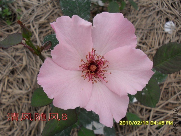 ������˿11 (6).jpg