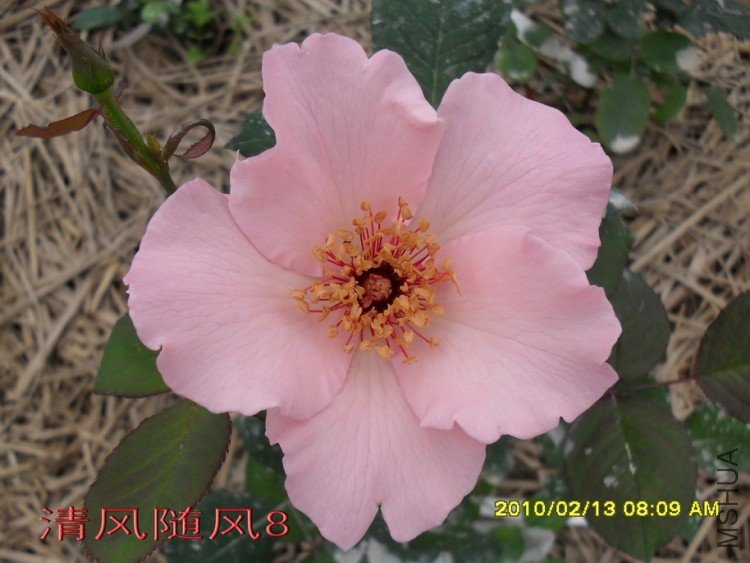 ������˿11 (3).jpg