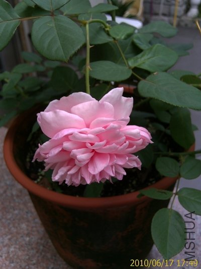 IMAG0268.jpg