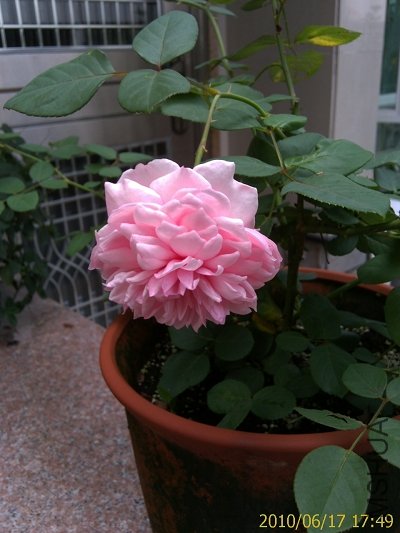 IMAG0269.jpg
