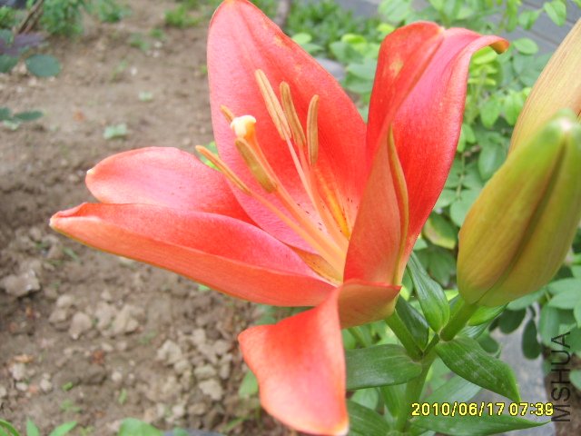 S6007369.JPG