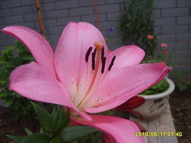 S6007371.JPG