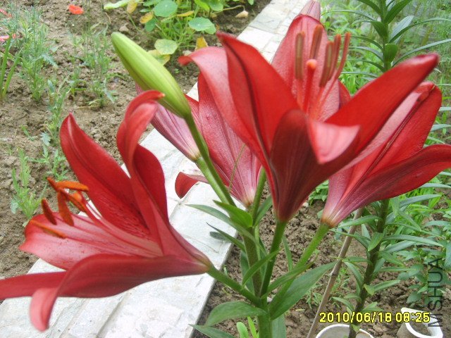 S6007382.JPG