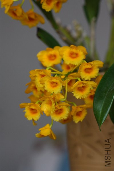 nEO_IMG_DPP_0050.jpg