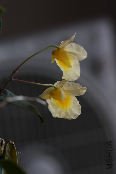 nEO_IMG_DPP_0139.jpg