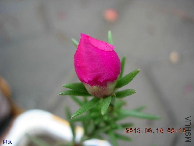 nEO_IMG_̫���� 011.jpg