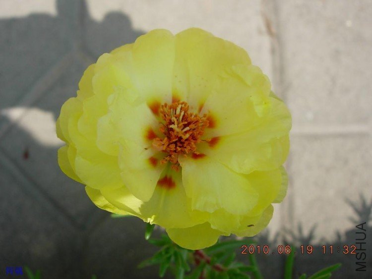 nEO_IMG_̫���� 044.jpg