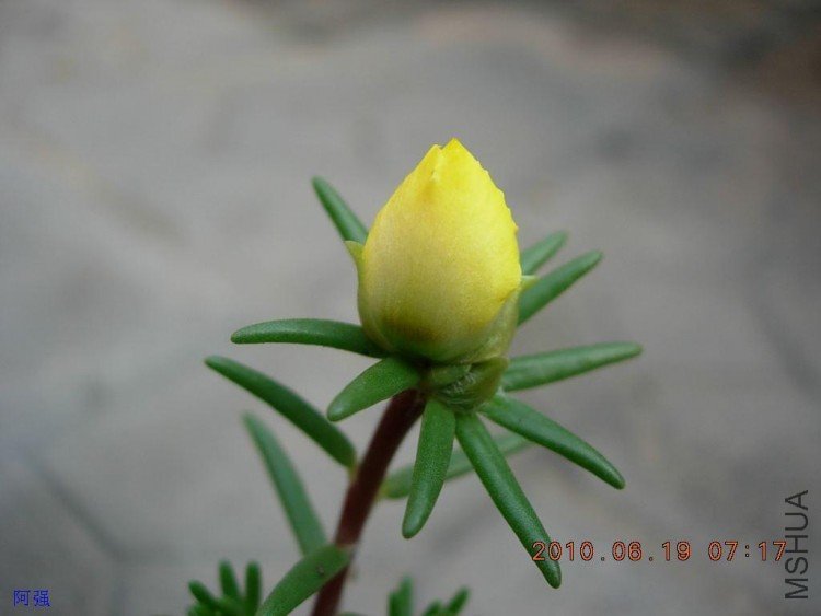 nEO_IMG_̫���� 034.jpg