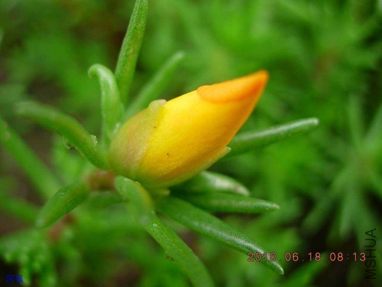 nEO_IMG_̫���� 012.jpg