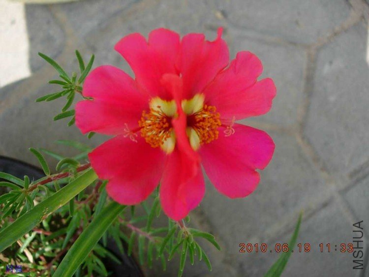 nEO_IMG_̫���� 046.jpg