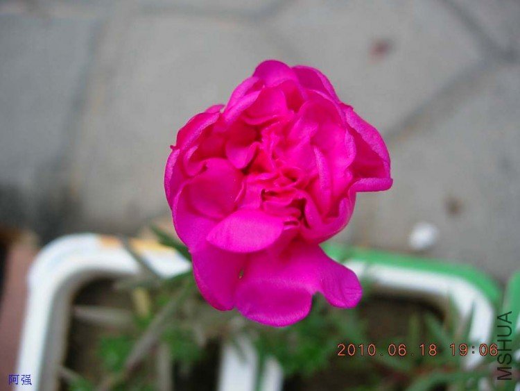 nEO_IMG_̫���� 017.jpg