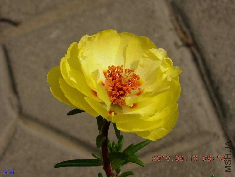 nEO_IMG_̫���� 038.jpg