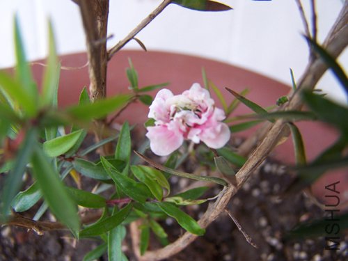 100_3511.JPG