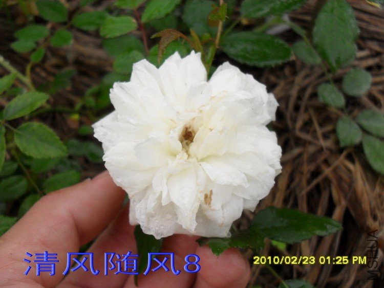 �������.�ͱȰ�11 (1).jpg