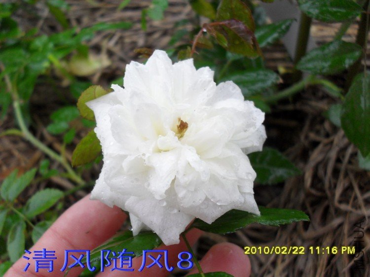 �������.�ͱȰ�11 (5).jpg