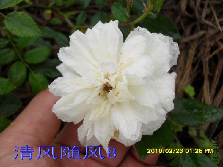 �������.�ͱȰ�11 (3).jpg