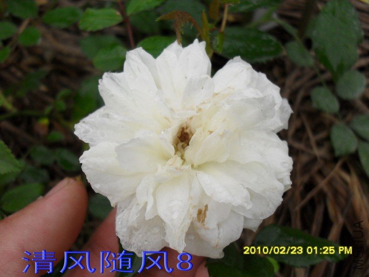 �������.�ͱȰ�11 (4).jpg