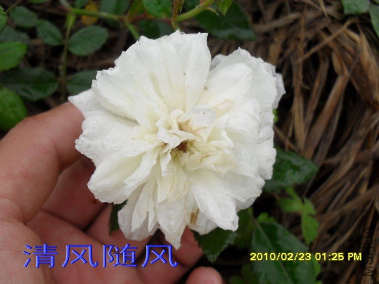 �������.�ͱȰ�11 (2).jpg