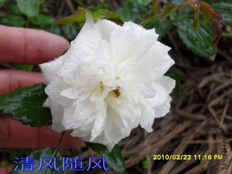 �������.�ͱȰ�11 (6).jpg