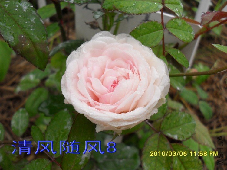 ��ױ¥�������磩11 (5).jpg