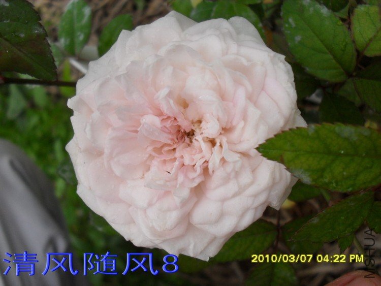 ��ױ¥�������磩11 (1).jpg