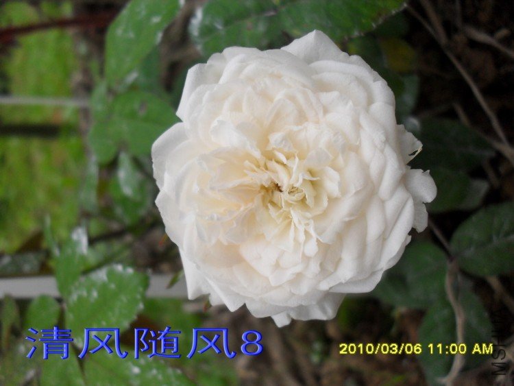 ��ױ¥�������磩11 (3).jpg