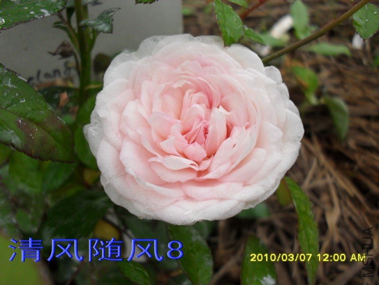 ��ױ¥�������磩11 (6).jpg